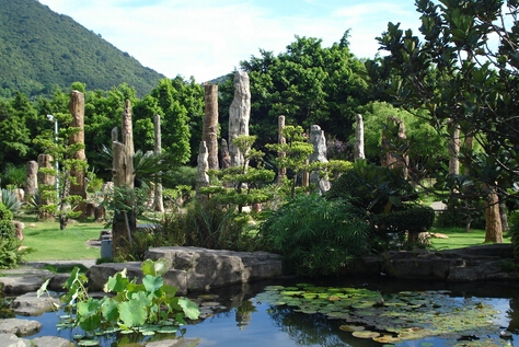 深圳仙湖植物园