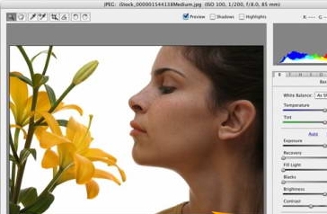 Adobe Camera Raw(RAW文件处理工具) v9.5 官方最新版