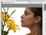 Adobe Camera Raw(RAW文件处理工具) v9.5 官方最新版